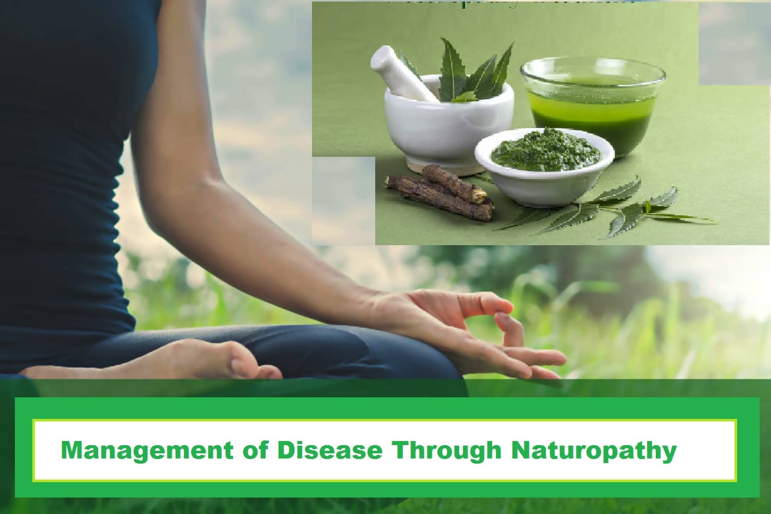 Husk Naturopathy